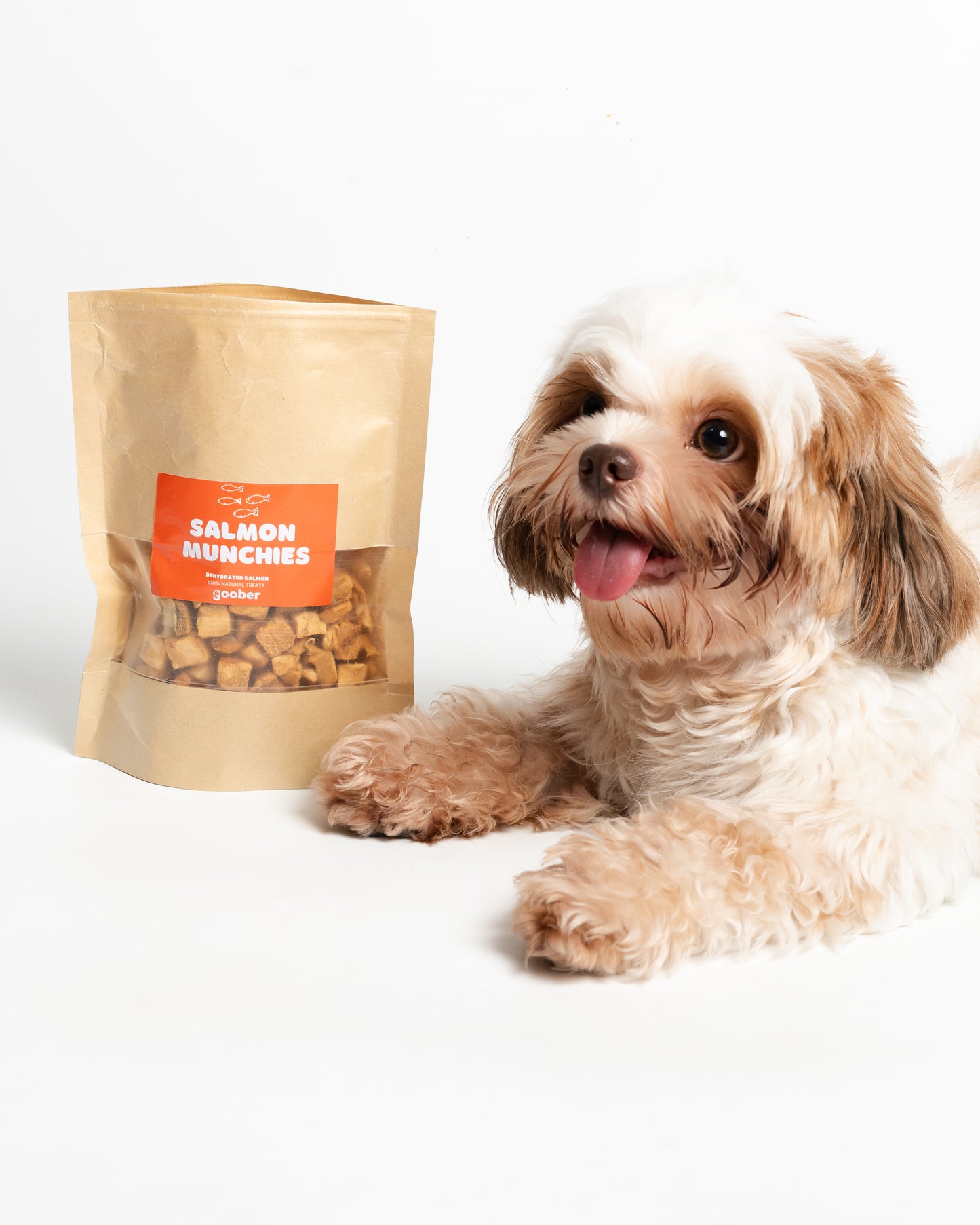 Goober's Salmon Munchies