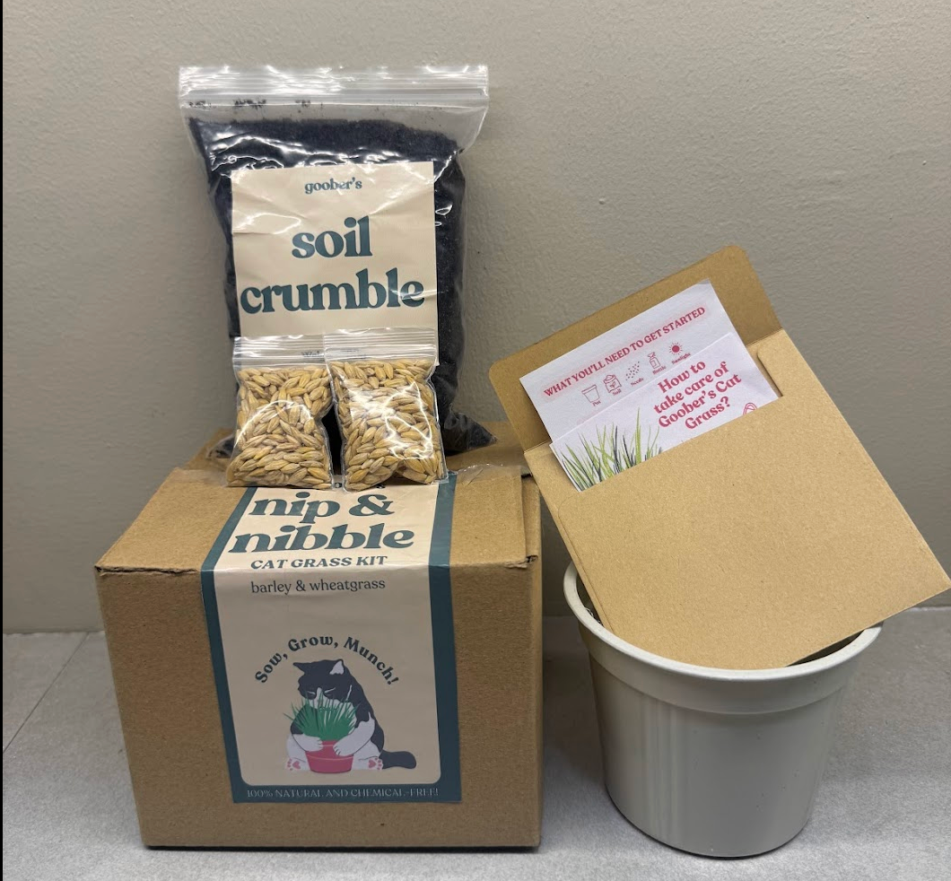 Nip and Nibble Cat Grass Kit